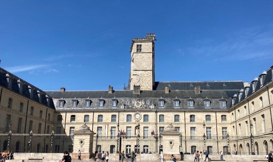 Démission de François Rebsamen : une ultime trahison des Dijonnais